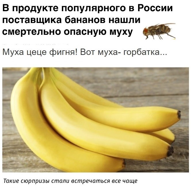   - 20  2024  04:07