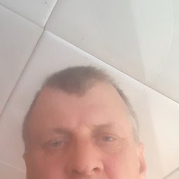, 56, 