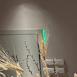 ���������, �������, 28 ���