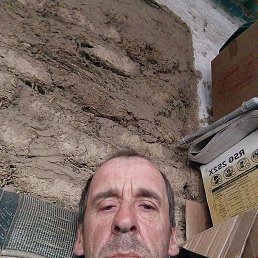 , 48, --