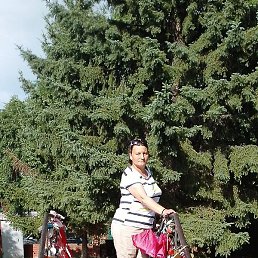 �����, ������������, 52 ����