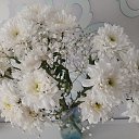 ���� ����, ������, 41 ��� - ��������� 22 ������� 2026 � ������ ���� ����������