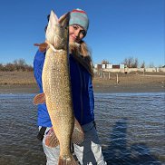 �����, 39 ���, ���������