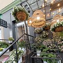  , --, 57  -  16  2025    