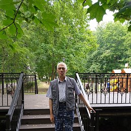 , 56, 