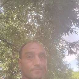 , 38 , -
