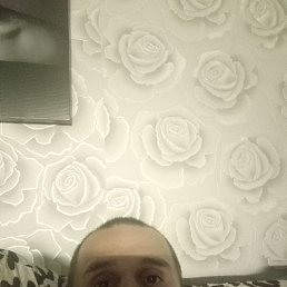 , 29 , 
