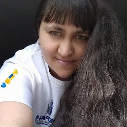 ��������, �������, 40 ���