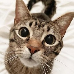 ��������, ������, 19 ���