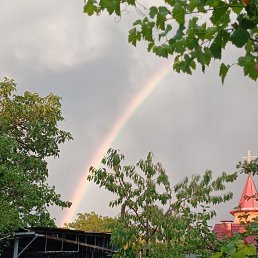 ���� ������, ���������, 40 ��� - ��������� 3 ������ 2026