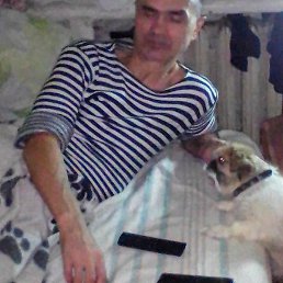 ������, ������, 54 ����