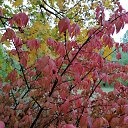 ���� �, �������� - ��������� 22 �������� 2025 � ������ ���� ����������