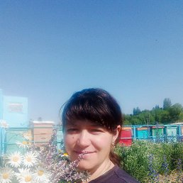 , 33, 