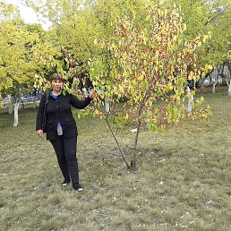 ���, ��������, 54 ����