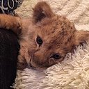 ���� ������, ������, 22 ���� - ��������� 2 ������� 2024 � ������ ���� ����������