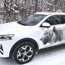 ��������, ��������, 46 ���