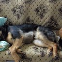 ���� ������, ������� - ��������� 14 ������ 2025 � ������ ������ ��������