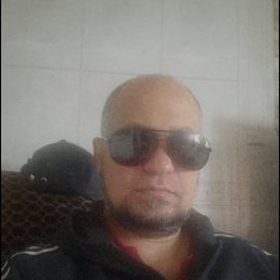 , 41, 