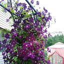 ���� �����, ������, 66 ��� - ��������� 23 ������ 2024 � ������ ��������