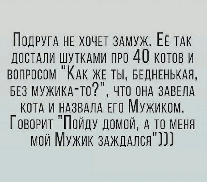   . - 19  2025  13:24
