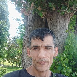 , 41, 