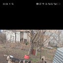 ���� ����, ������-��-����, 58 ��� - ��������� 22 ����� 2026 � ������ ���� ����������