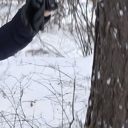 ����, ������, 48 ���