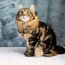 ���� Srthetjyjyjm, ���� - ��������� 28 ����� 2026 � ������ ���� ����������