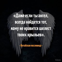 Фото Александр, Новосибирск - добавлено 23 сентября 2025