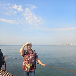 �����, �����, 73 ����