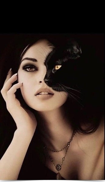 В любой непонятной ситуации глажу кота... >^..^< *‘’*‘’*‘’*‘’*‘’*‘’*‘’*‘’*‘’*‘’*