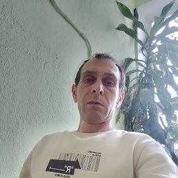 ���� �������, �����-���������, 49 ��� - ��������� 30 ����� 2024