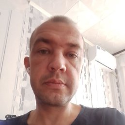 , 39, 