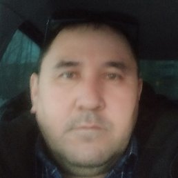 �������, ������, 49 ���