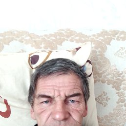 , 53 , 