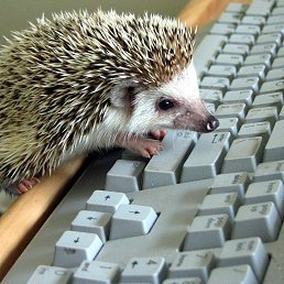 ���� ����, �����-��������� - ��������� 20 ������� 2023