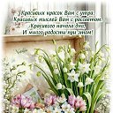 ���� ������� � ����������, �����, 59 ��� - ��������� 17 ����� 2026 � ������ ���� ����������