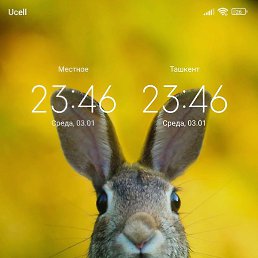 ������, �����, 42 ����