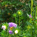 ���� ������, ������, 56 ��� - ��������� 30 ���� 2024