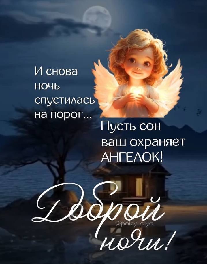   ,    . - 11  2025  21:36
