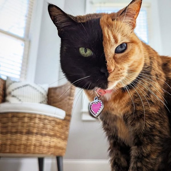     .  16 ,     ,  ,   ... - 2