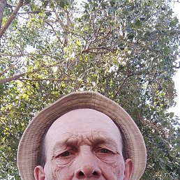 , 53, 