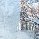 ���� ��������, �����-���������, 50 ��� - ��������� 16 ������ 2026