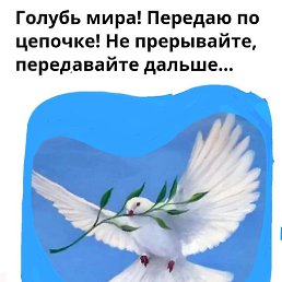 ˸���, ������, 24 ����