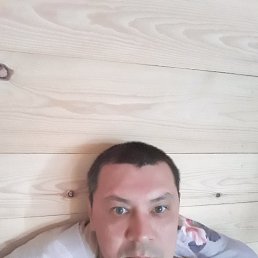 , 40, 