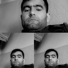 , 31, 