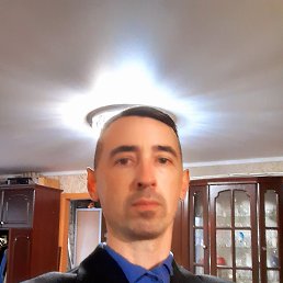 zevz, 42, 
