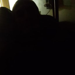 ���� �������, ������, 54 ���� - ��������� 29 ������ 2024