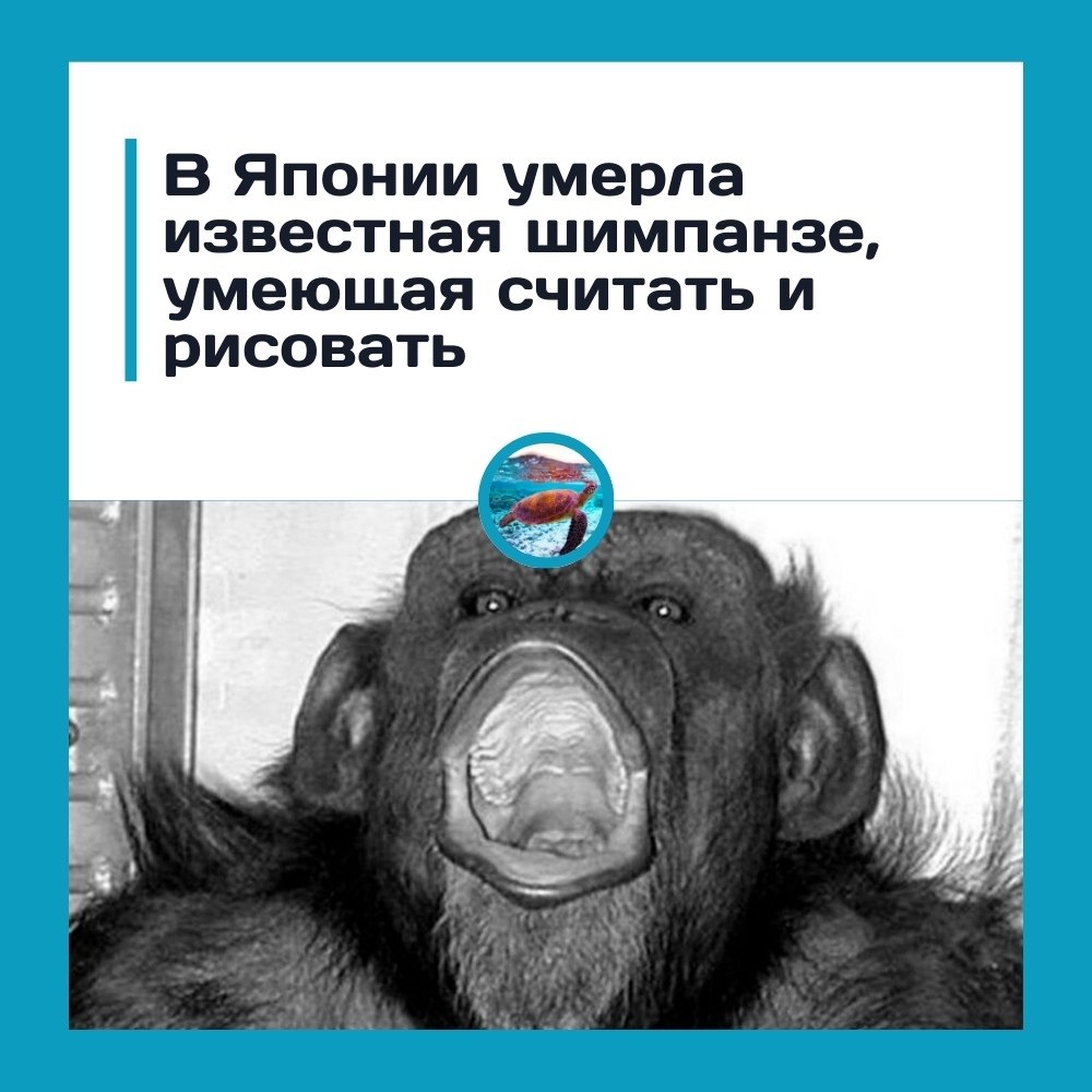 ��ep�a ����a��e, �o�opa� ��e�a c���a�� � p�co�a��. ��o��� � �o�pac�e 49 �e� ��ep�a ��a�e���a� ...