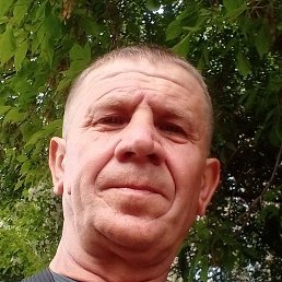 ����, �������, 48 ���